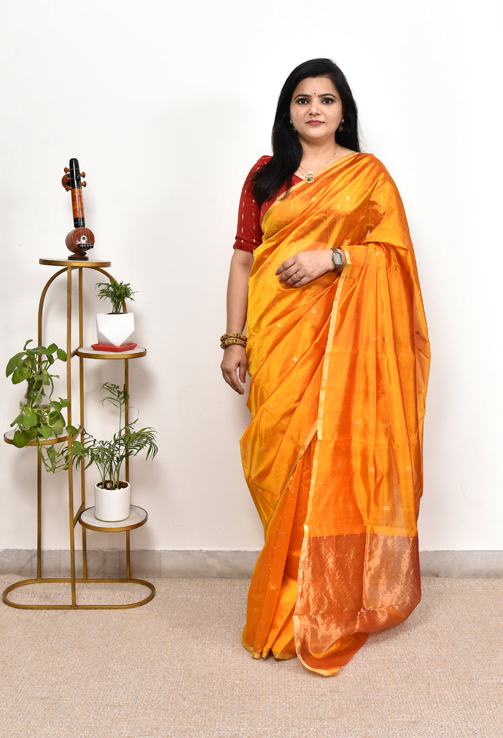 BHAVISHA : HANDWOVEN CHANDERI SILK SAREE WITH ZARI BOOTIS ALL OVER