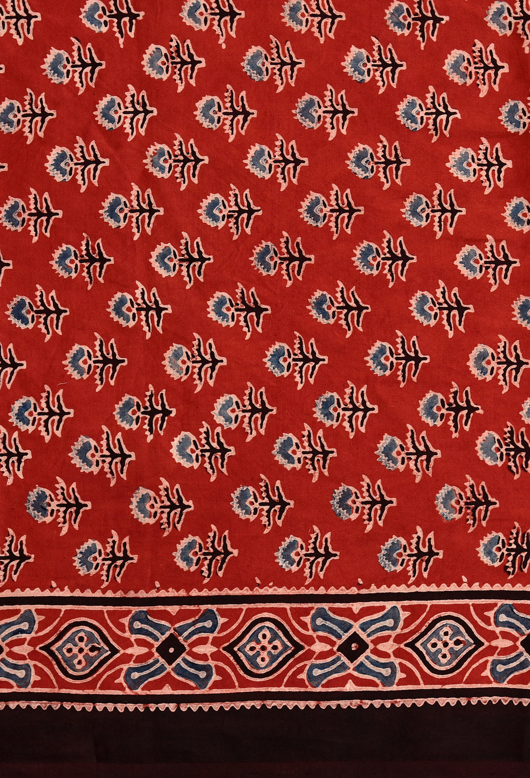 RAHBAR : AJRAKH HANDBLOCK MODAL SILK SAREE