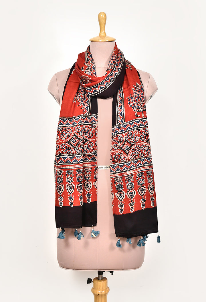 ABHISHAKTI : AJRAKH MODAL SILK STOLE